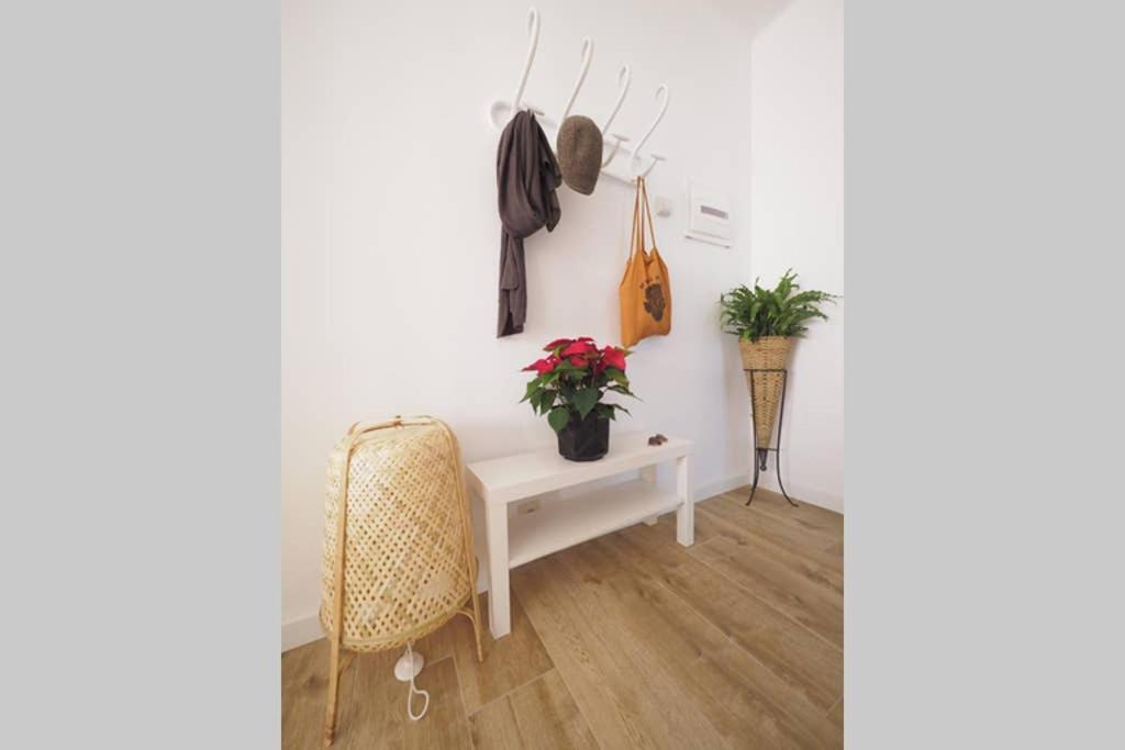 Apartaments Sa Calm Sant Miquel De Les Formigues Sant Hilari Sacalm Exteriör bild